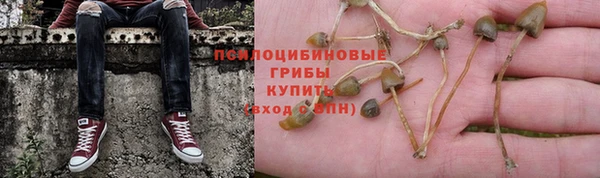 ГАЛЛЮЦИНОГЕННЫЕ ГРИБЫ Абаза