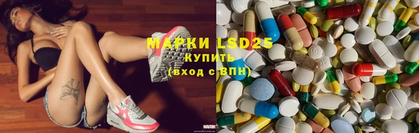 ГАЛЛЮЦИНОГЕННЫЕ ГРИБЫ Абаза