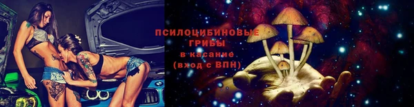 ГАЛЛЮЦИНОГЕННЫЕ ГРИБЫ Абаза