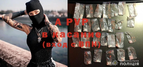ГАЛЛЮЦИНОГЕННЫЕ ГРИБЫ Абаза