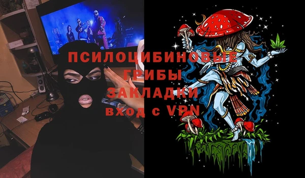 ГАЛЛЮЦИНОГЕННЫЕ ГРИБЫ Абаза