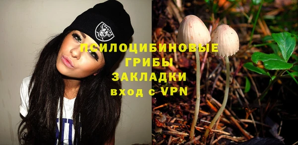ГАЛЛЮЦИНОГЕННЫЕ ГРИБЫ Абаза