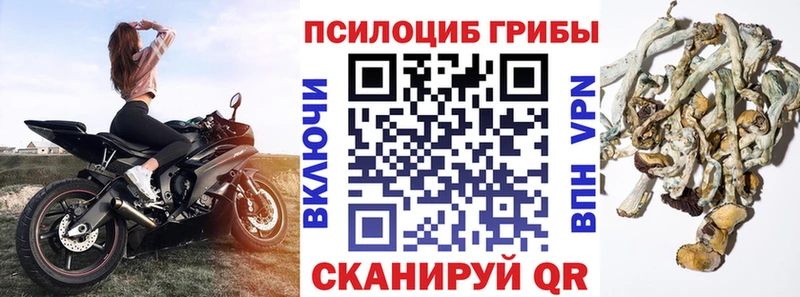 ОМГ ОМГ сайт  Чулым  Галлюциногенные грибы мицелий 